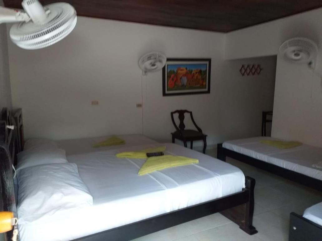 פאלומינו Hostel Cattleya מראה חיצוני תמונה