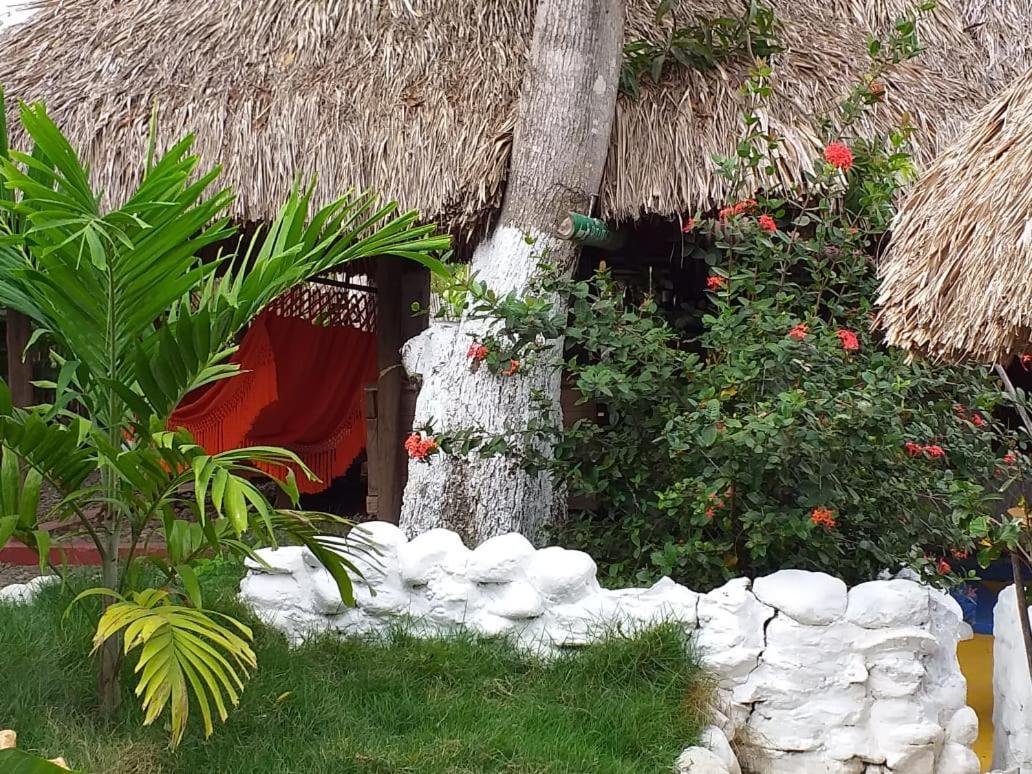 פאלומינו Hostel Cattleya מראה חיצוני תמונה