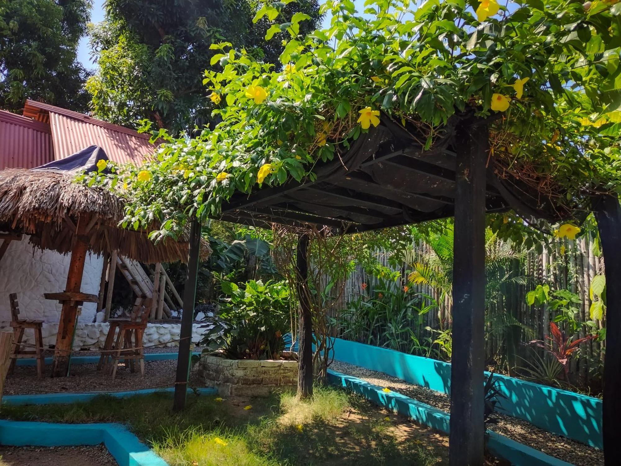 פאלומינו Hostel Cattleya מראה חיצוני תמונה