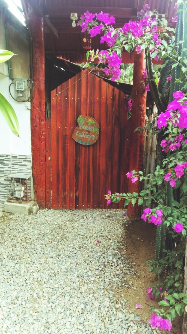 פאלומינו Hostel Cattleya מראה חיצוני תמונה