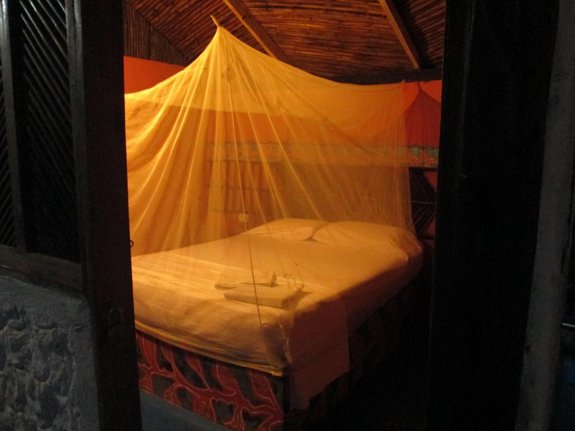 פאלומינו Hostel Cattleya מראה חיצוני תמונה