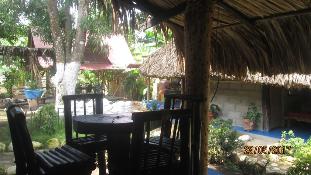 פאלומינו Hostel Cattleya מראה חיצוני תמונה